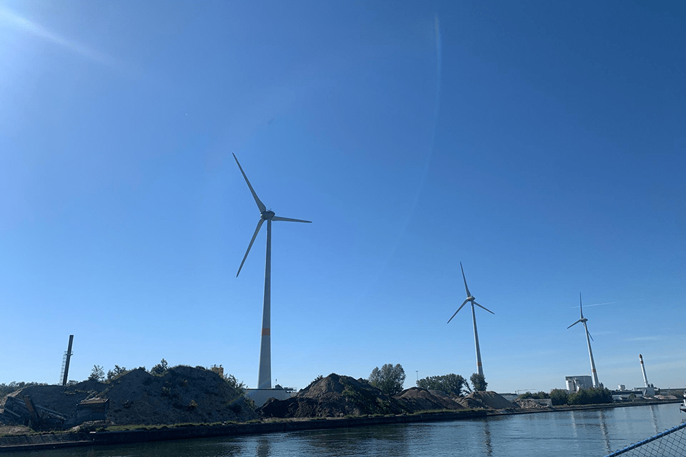 Luminus Wind Day 2021 - windmolen.