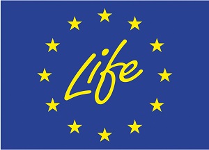 Luminus Corporate - Life4Fish : un programme européen au service de l'environnement.