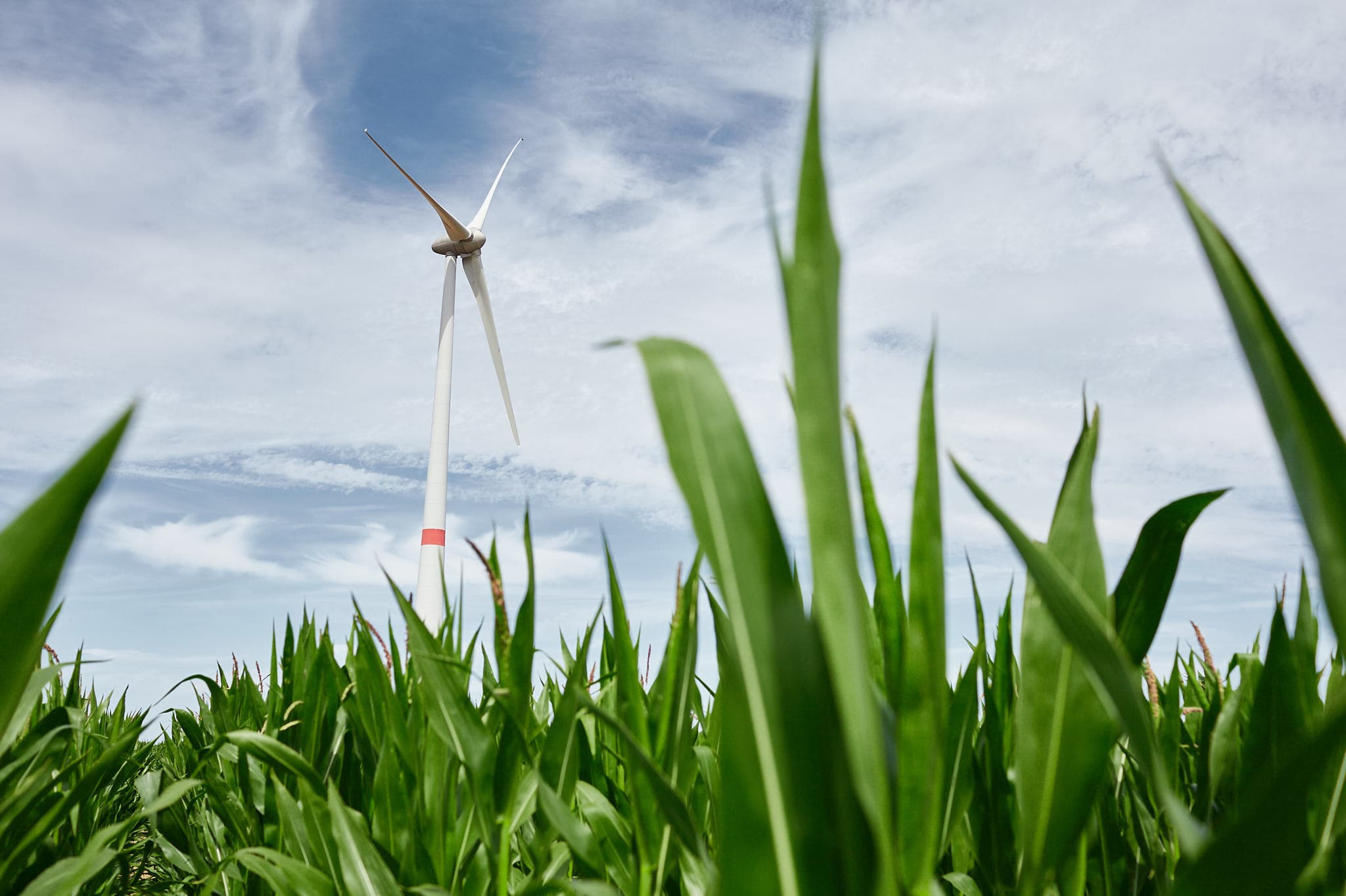 Luminus Corporate - Ons uitvoerend comité.