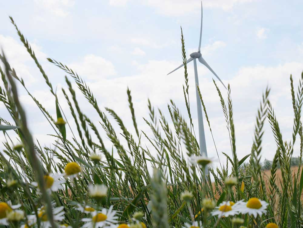 Luminus Wind Fietsroute - Spring op je fiets en maak kennis met de Luminus windturbines in Dessel en Mol.