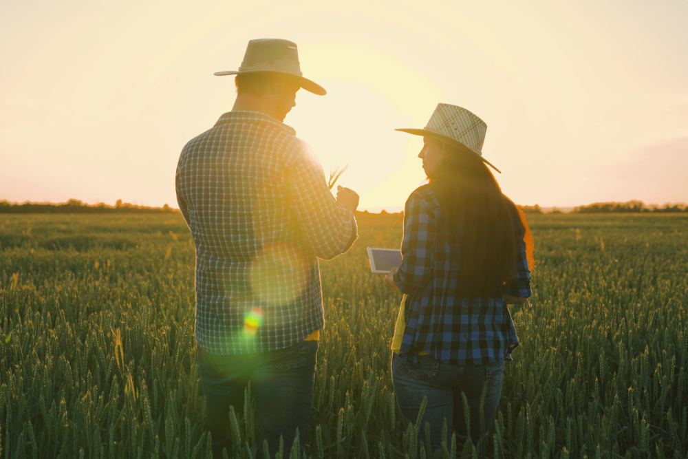 Van een variabel naar vast energiecontract: beslis met deze tools