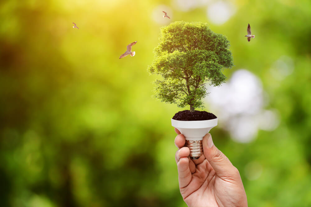 Waarom Luminus kiezen? - Bij Luminus is ecologie en duurzaamheid de hoogste prioriteit
